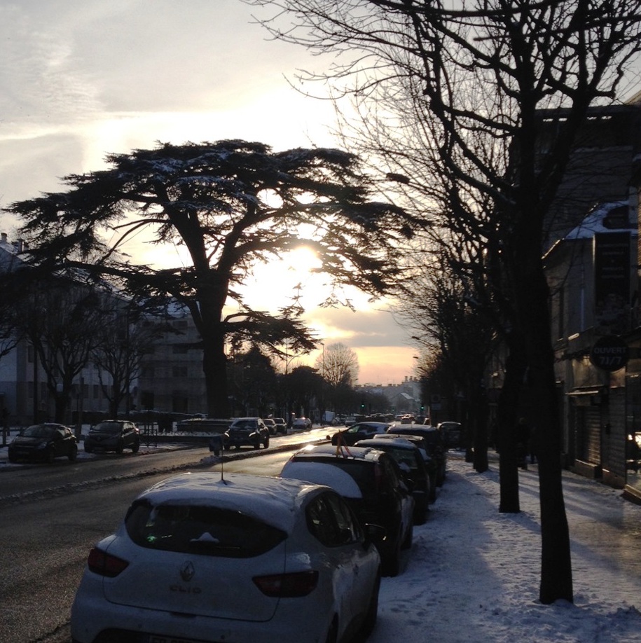 LIVRY-GARGAN LE CEDRE HIVER 2026